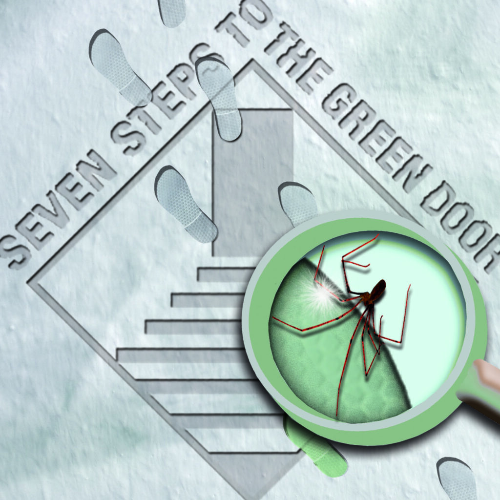 seven steps to the green door – step in 2 my world (2008)